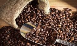 Gelatina tonificante de granos de café