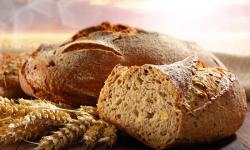 Raženi hleb od celog zrna